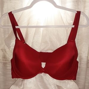 Gently-worn Size 40D Ambrielle Lace Accented Full-Figure Plunge Bra